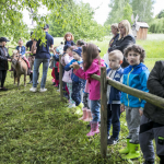 Dzieci przy drewnianym płotku, obok dziecko na kucyku, z tyłu zieleń.