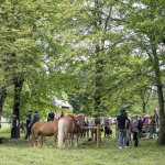 Grupa młodzieży i dorosłych zgromadzona na trawie, po bokach drzewa.