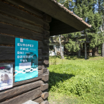 Drewniana chata z przyklejonymi na ścianie plakatami, dalej budynki i drzewa.