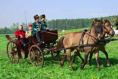 Dwóch mężczyzn w strojach z epoki powozi wozem konnym, z tyłu siedzi dwóch ludzi, w tle las i niebo.