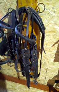 Uprząż do jazdy konnej.